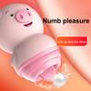 Уютный стимулятор G Spot Bass Privacy Silky Tremor Motor Pig G Spot Masturbation Sucker Vibrator для дома