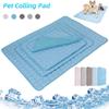 Ice Silk Pet Cooling Mat Water Absorption Cat Sleeping Pad Puppy Blanket  Kids and Adults