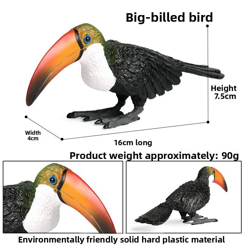 Simulated Wild Animal Big Billed Bird Ramphastos Toco Model Ornament Toys