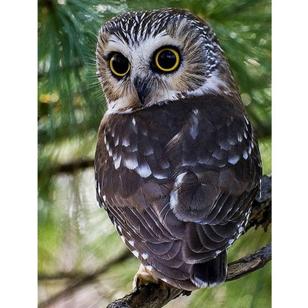 Полная квадратная/круглая алмазная живопись Горный пейзаж Горный хрусталь 5D Алмазная вышивка Тигр Олень Животное Мозаика Настенное искусство