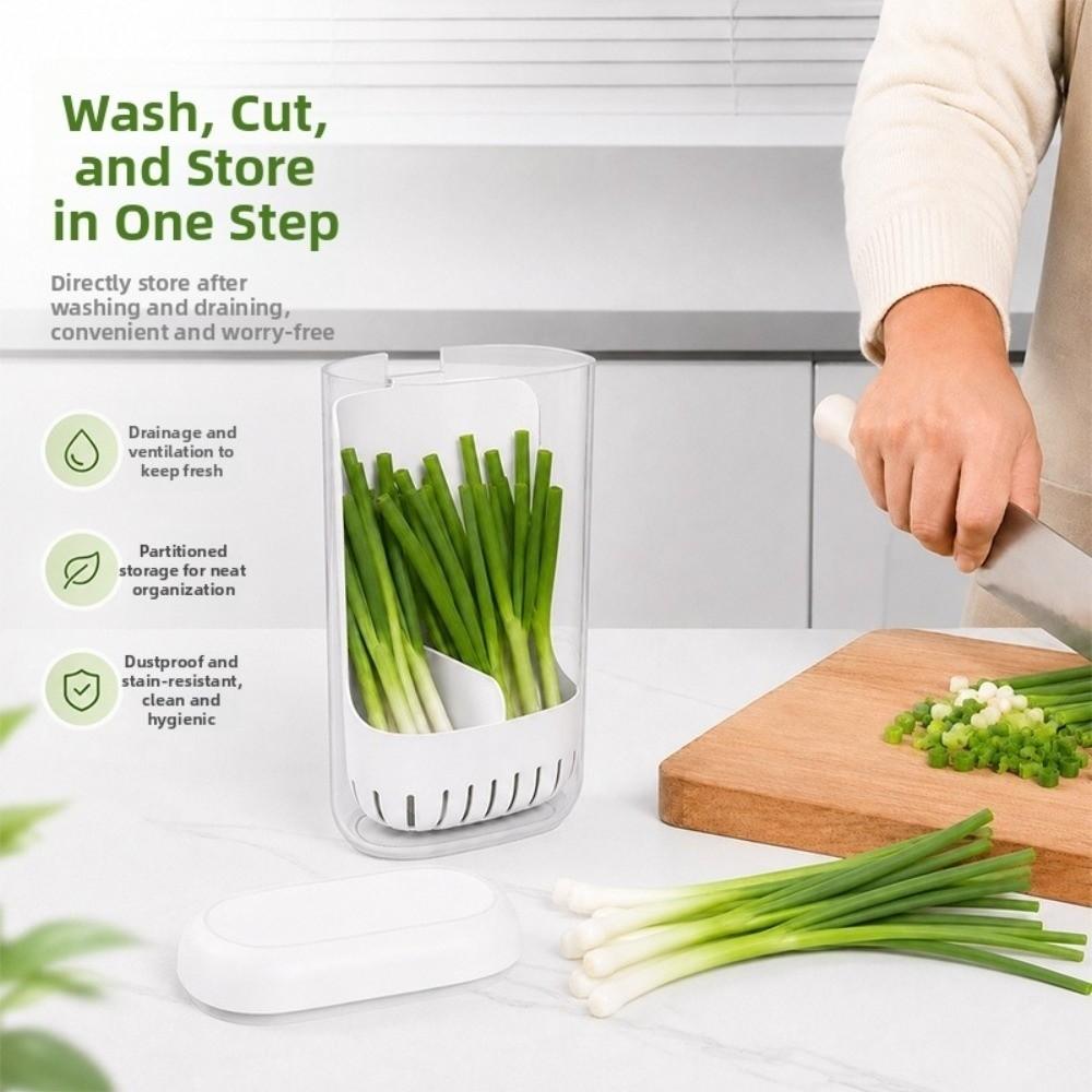 Sealed Lid Fresh Keeping Box Scallion Garlic Use Fridge Storage Box Herb Storage Box Kitchen Use