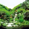 Ornament Green Aquarium Water Grass Fish Tank Landscape Decor Plastic Artificial Plant