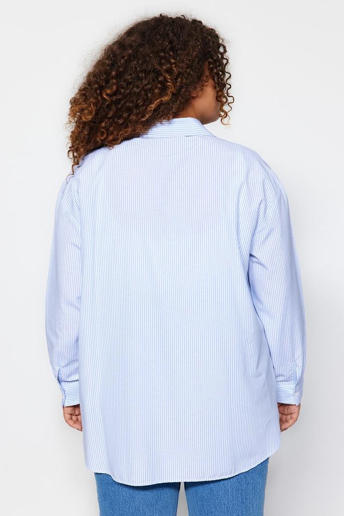 Women's Style Plus Size Blue Striped Poplin Shirt
