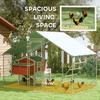 Walk In Chicken Run W Cover Feeding Door Hanging Feeder Perch For 6 8 Poultry