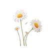 Durable Daisy Car Stickers Hide Scratches Auto Window Door Bumper Waterproof Decals for All-Terrain Vehicles Car Accessories
