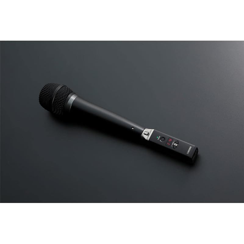 BOSS Boss/WL-30XLR wireless system