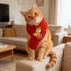 Yousheng Red Knitted Cat Scarf Year of The Horse Dog Scarf Chinese New Year Pet Scarf for Cats And Small Dogs Festive Costume Accessory