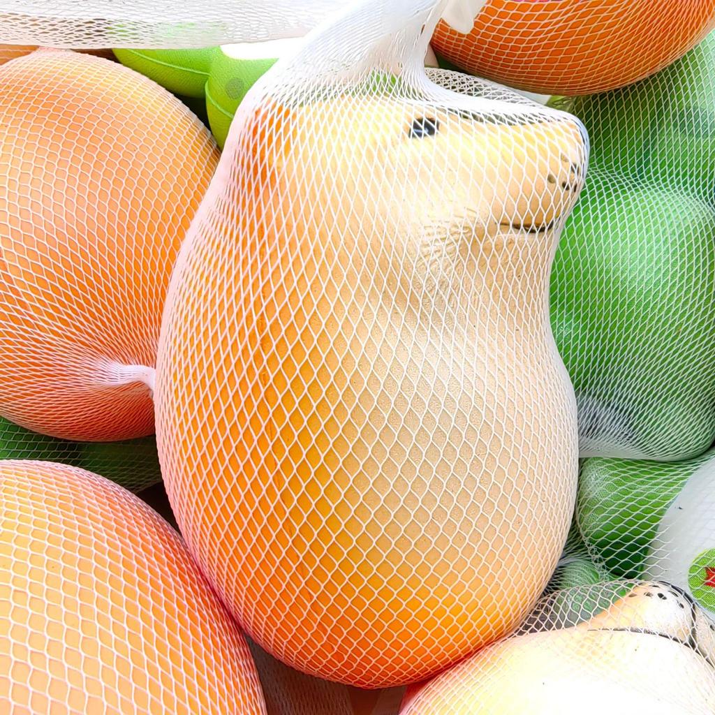 Стакан-неваляшка с песком в виде яйца собаки шиба-ину: Забавная игрушка для декомпрессии