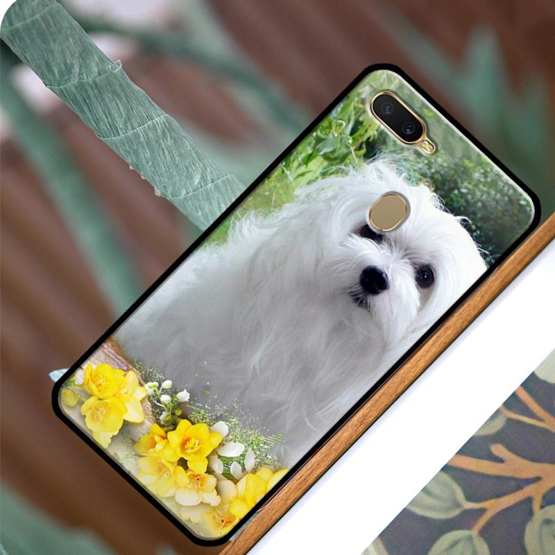 Чехол с мальтийской собакой для OPPO A83 A91 A93 A1K A15 A3S A54 A74 A94 A5 A9 A31 A53 A52 A72 A53S, задняя крышка