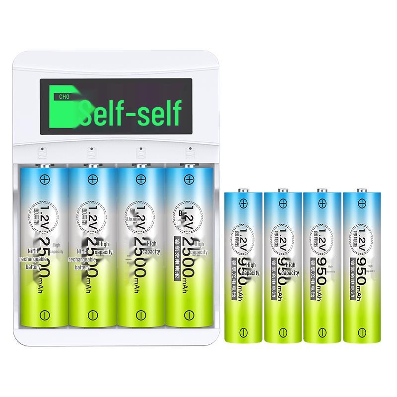Delipow Rechargeable AA/AAA Batteries & Smart LCD Chargers CN plug (adapter included)