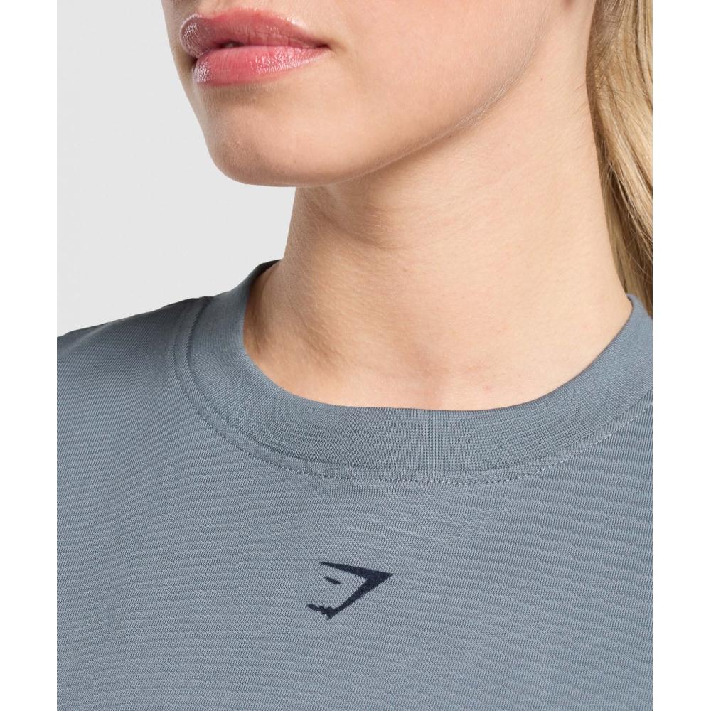 Gymshark Campus Classics Graphic T shirT Iron Blue B2b2d ucTm