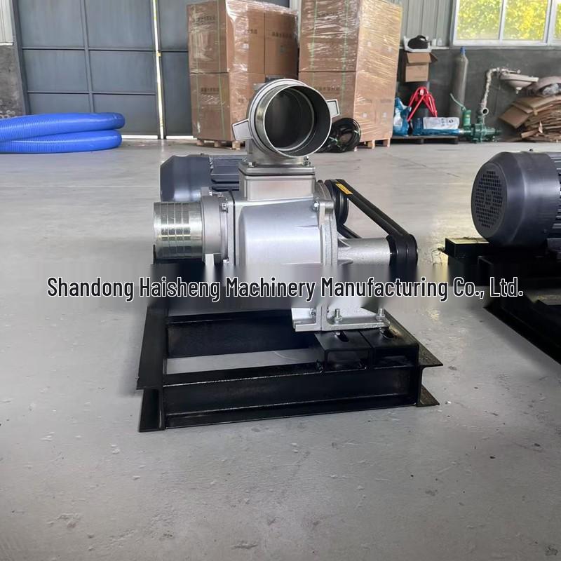 4" Self-Priming Agricultural Irrigation Pump: Durable, Convenient, Compact Water Lifter