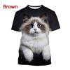 2024 Новые футболки с изображением животных Ragdoll Cat 3D, унисекс, повседневные футболки с коротким рукавом и принтом забавного котенка