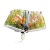 Clear Canopy Umbrella for Travel, Compact Flower Design Kids And Women