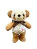 Childish Tag with Ribbon, Fluffy Panda Medium, Brown, Made In Japan, Stuffed Animal, Panda, Teddy Bear, Animal, Birthday Gift, Celebration…