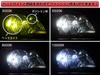 Shingen T10 LED 3000K 8 SMD Суперкороткий 12В Только