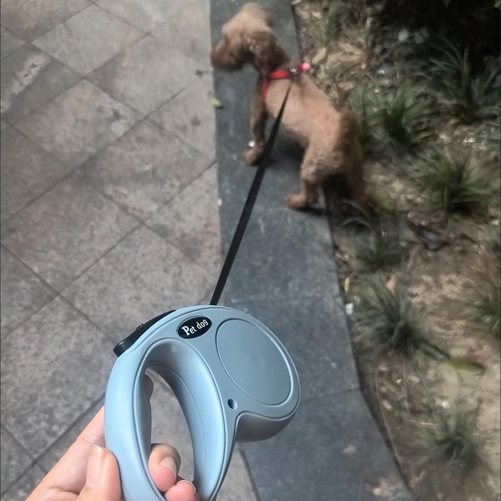 Выдвижной поводок для собак средних и маленьких пород, прочный нейлоновый поводок для щенков, поводок для йоркширских чихуахуа