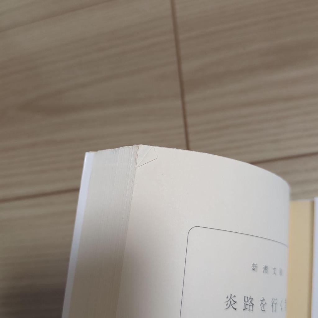 [USED] Set of 23 books including the Guardian series by Naoko Uehashi