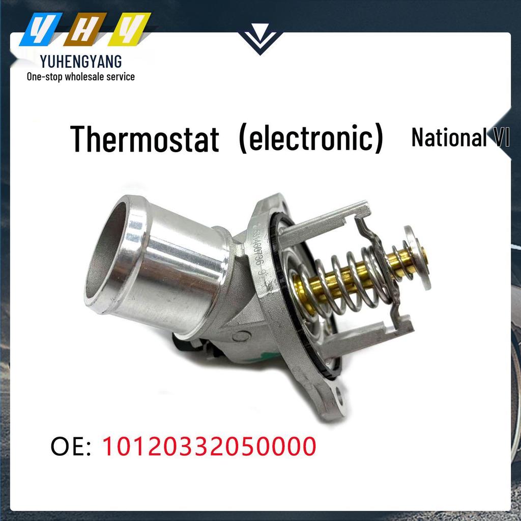 Электронный термостат для GA8/GS8/GM8 National VI 10120332050000