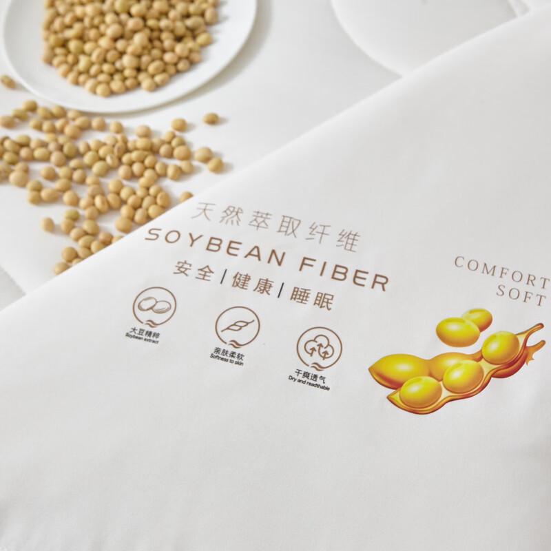 Duohaojia Enjoy Soybean Protein Fiber Winter Quilt