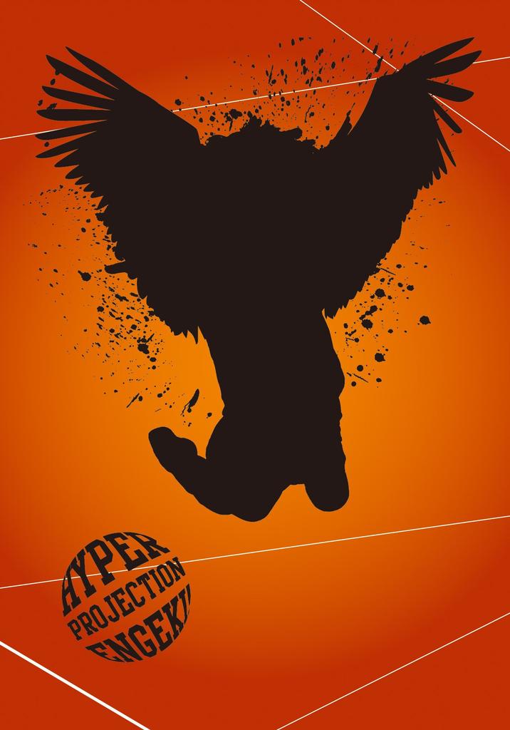 Гиперпроекционная игра и «Haikyu!!""Победители-проигравшие" [DVD]