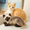 Stuffed Siame Cats Plush Toy 20/25cm Simulation American Shorthair Cute Cat Pet Toys Lifelike Home Decor Birthday Gift