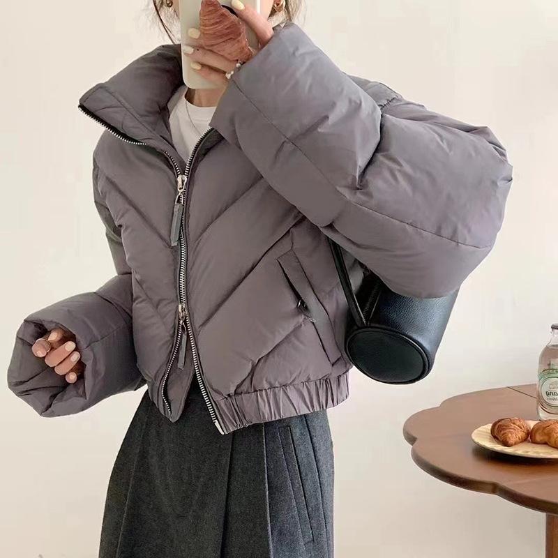 Dongdaemun short stand-up collar down jacket for women's winter 2024 new fashion small foreign style thickened bread jacket