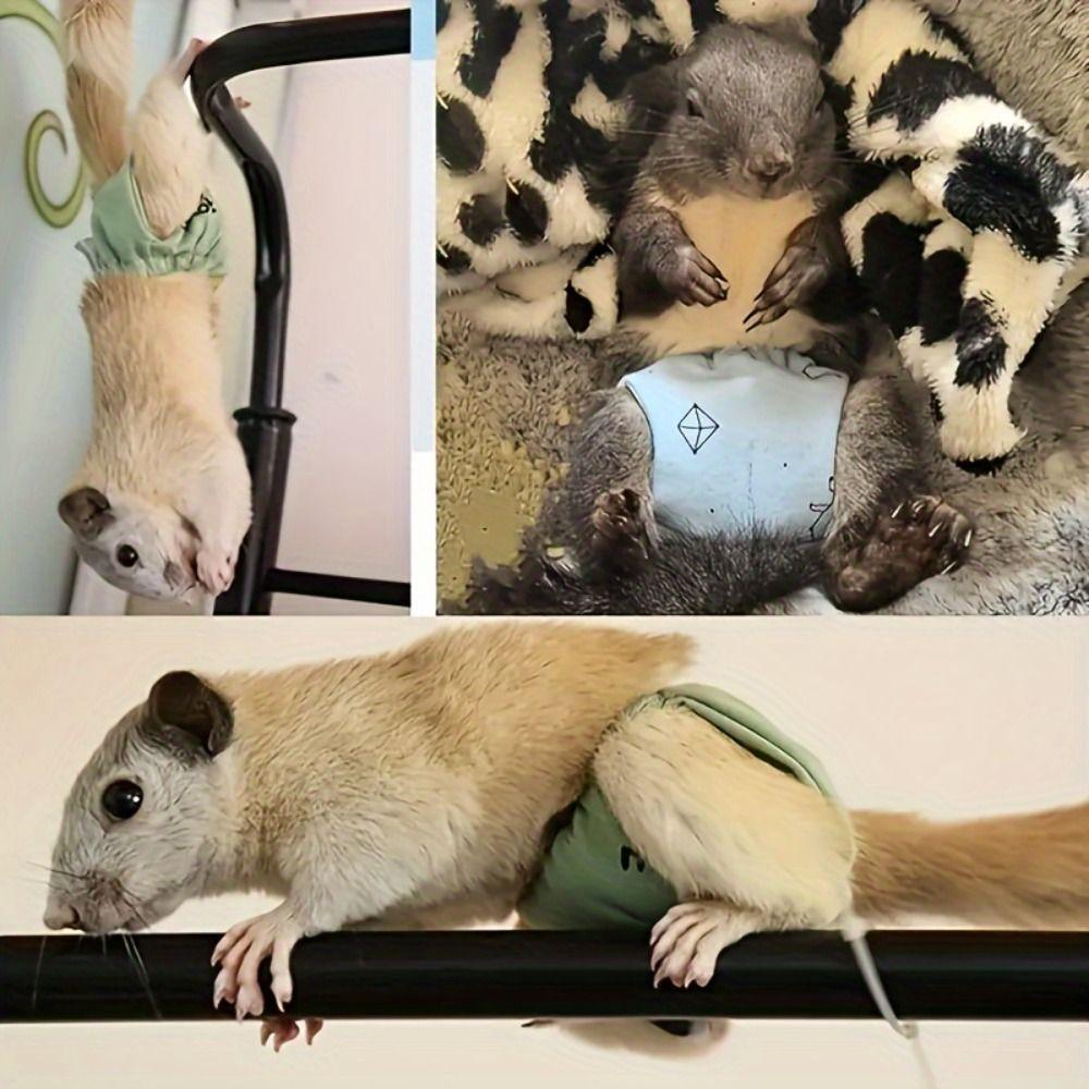 Absorbent Squirrel Diapers Flexible Closure Squirrel Underwear  For Guinea Pigs, Squirrels