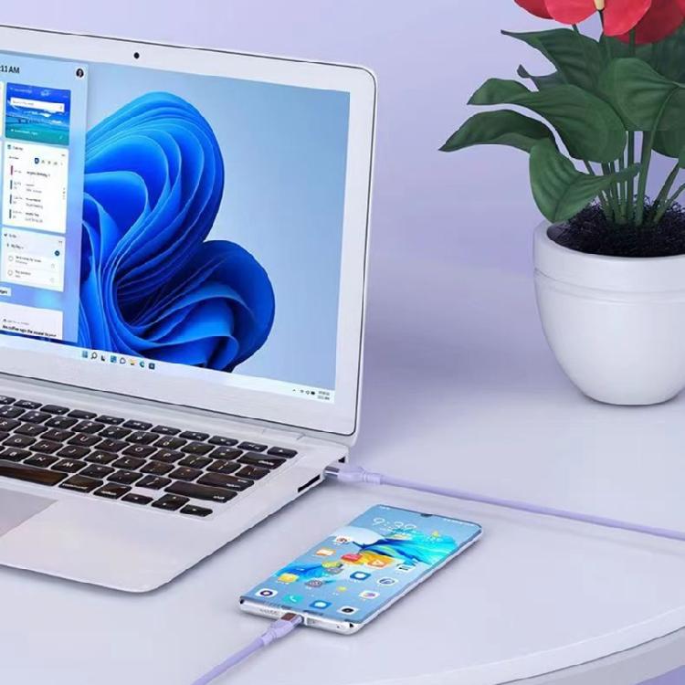 USB-кабель Type-C + Micro USB, многофункциональный шнур питания 4-в-1 для путешествий