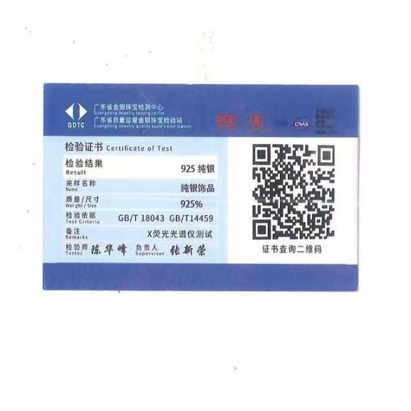 925 Sterling Silver CZ Hoop Earrings for Women Timeless Style Simple Ear Accessories for Teens Minimalist Gift Classic Jewelry