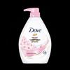 Dove Moisturizing Body Wash Set