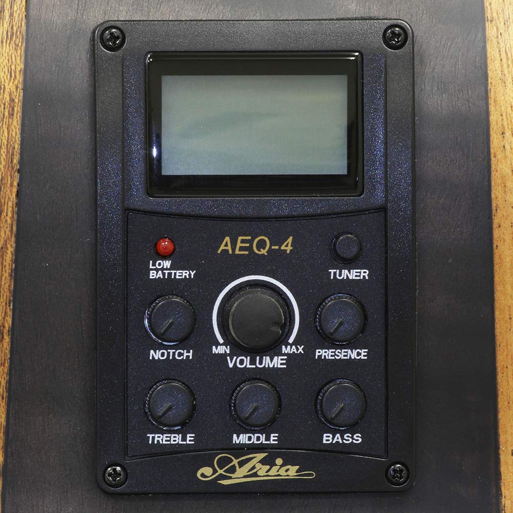 ARIA Stain Black Electric Acoustic Guitar Aria FET-F2 F-Hole