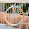 Paw Grinding Parrot Hanging Clip Colored Parrot Standing Stick Parrot Birds Cage Toy  Training Toys