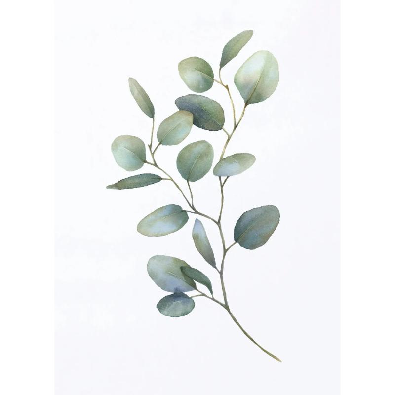Акварельные листья зеленые постеры ботанические эвкалиптовые принты холст картины настенные художественные картины для гостиной украшения дома