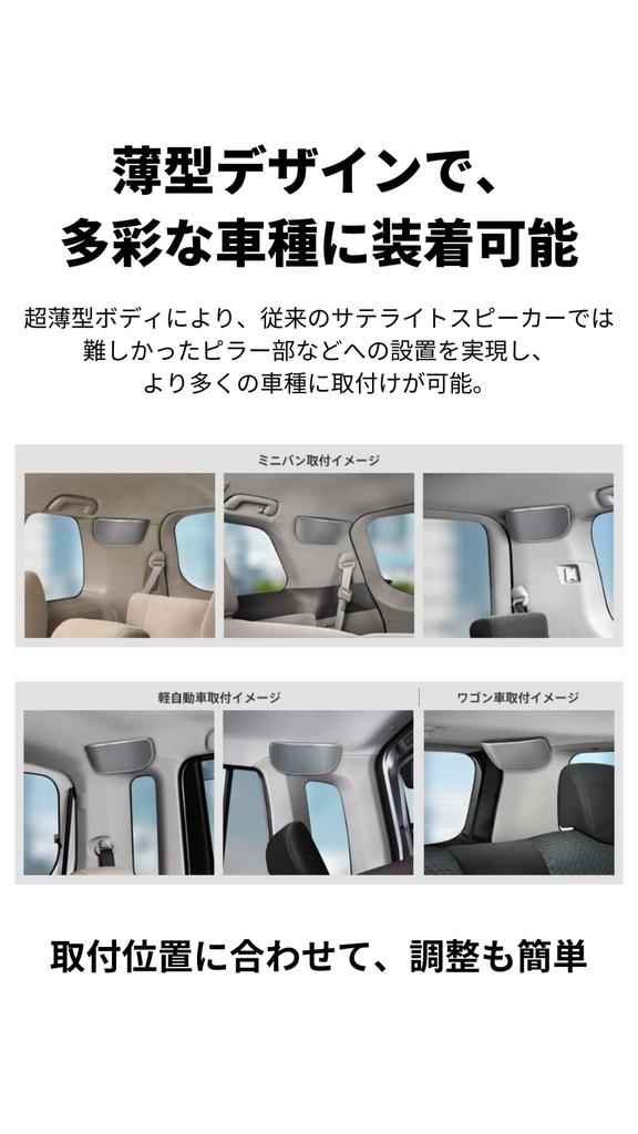 Спутниковые акустические системы Pioneer Carrozzeria 2-полосные TS-STH1100