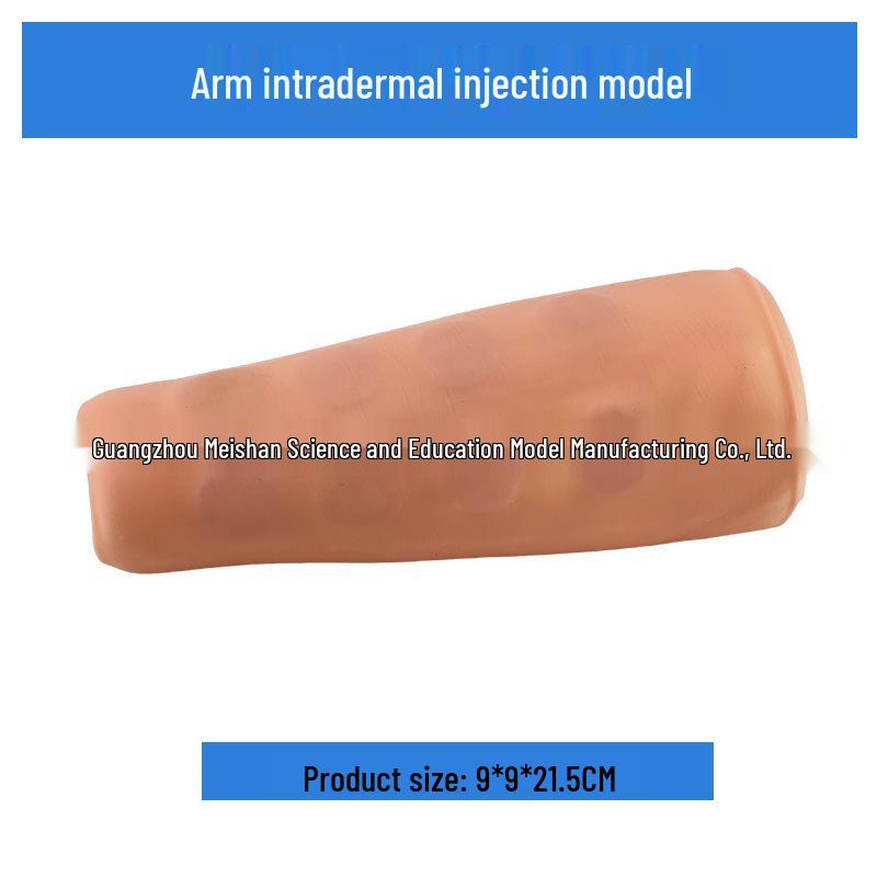 Multifunctional Venipuncture and Injection Training Arm