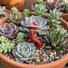 3PCS/SET Realistic Earthworm Flowerpot Decoration Resin Earthworm Ornaments  Indoor Plants