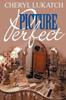 Книга Picture Perfect