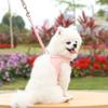 Dog cat out leash cat chest strap walking dog collar dog clothes pet supplies