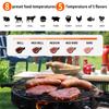 Беспроводной термометр для мяса с 2 штангами для приготовления пищи на гриле, цифровой термометр для мяса