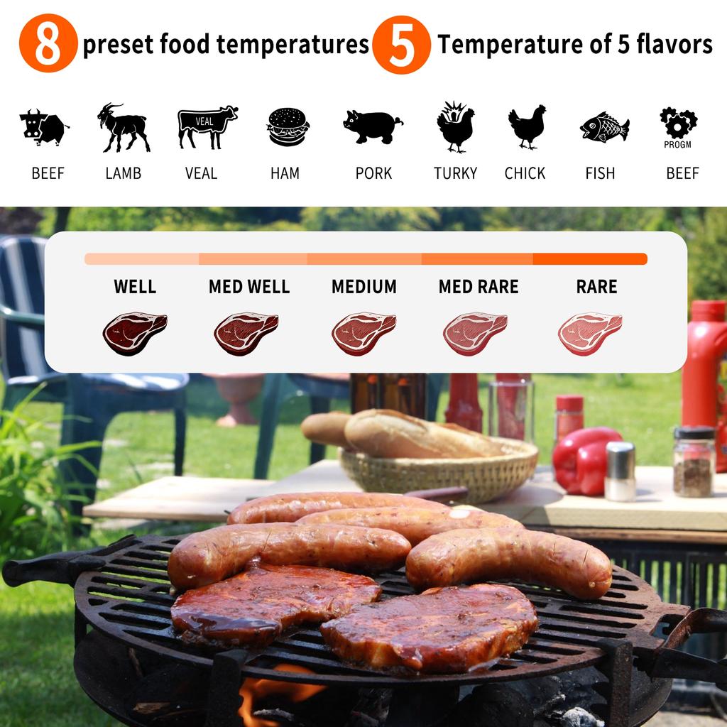 Беспроводной термометр для мяса с 2 штангами для приготовления пищи на гриле, цифровой термометр для мяса
