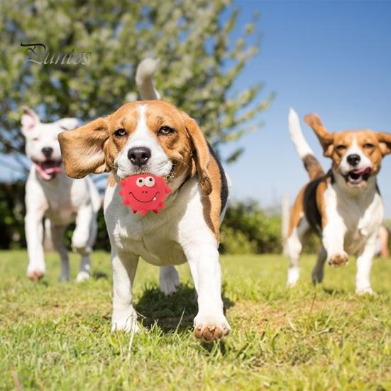 Неразрушимые жевательные игрушки для собак, большие собаки, скрипучий шипованный шарик для домашних животных, латексная игрушка со встроенным звуком, уход за зубами, забавный мультяшный жеватель