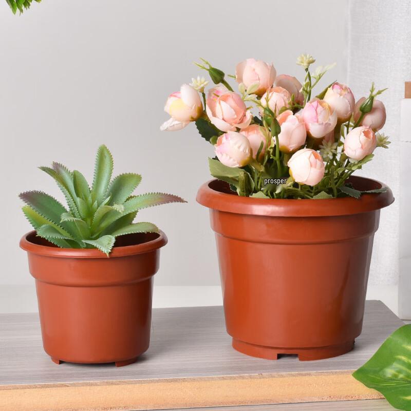 MOJY Plastic Flower Pot for Rose Cultivation
