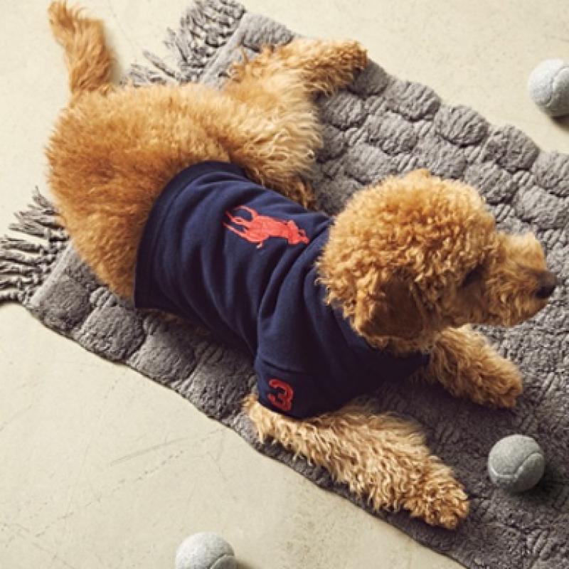 Ralph Lauren Polo Bear Cotton Mesh Dog Polo Shirt Hmpogfthr920005600