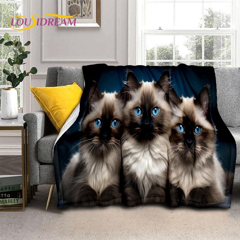 3D Persian Cat,Cute Calico Cat,Ragdoll Cartoon Soft Blankets,Keep Warm Throw Blanket for Picnic Beds Sofa Home Bedroom Gift Kid