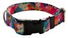 Dog Collar 2.5 cm with buckle Adjustable StreetArt Fasten Dog Collar 2.5 cm with buckle Adjustable StreetArt Fasten XS: 20-28cm