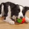 Strawberry Shaped Dog Chew Toy Tooth Cleaning Dog Grinding Teeth Toy  Puzzle Toys