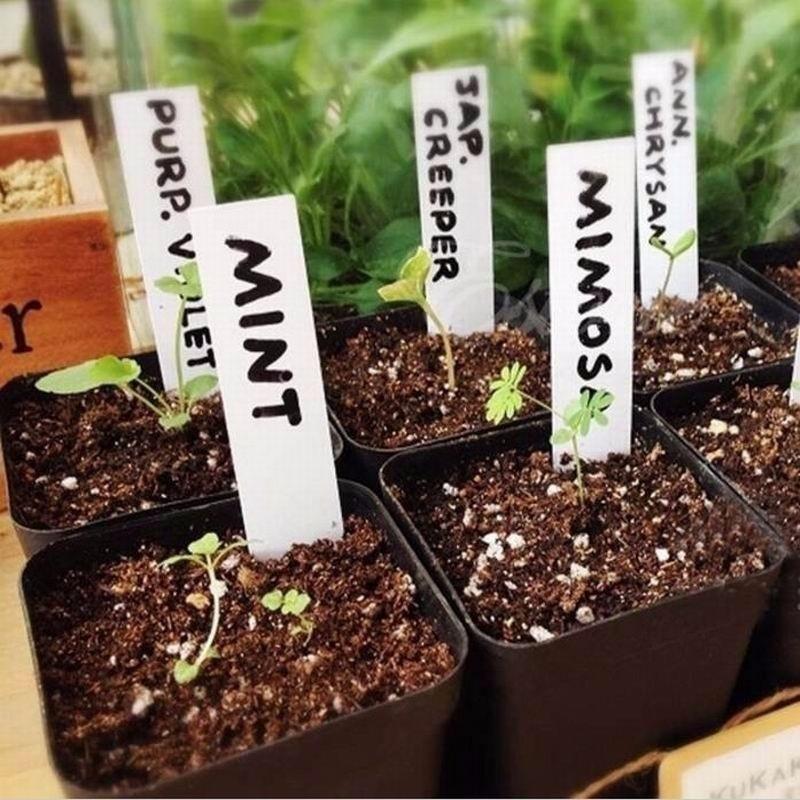 Водонепроницаемые метки 🏷 для растений. 100 шт