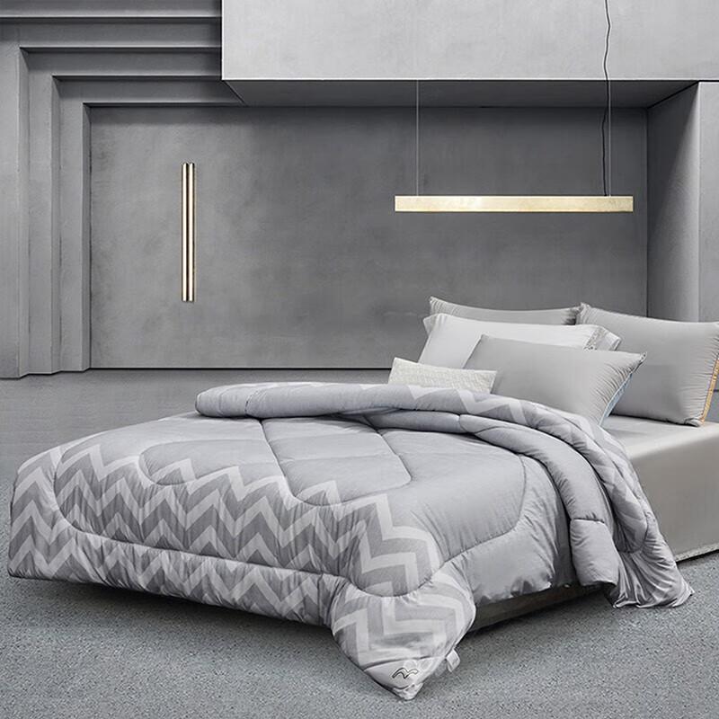 Mercury Home Elegant Negative Ion Antibacterial Winter Quilt