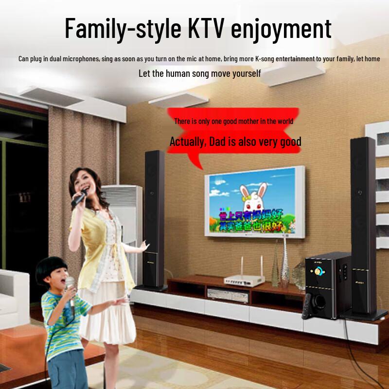 Shanshui 88A Домашний кинотеатр Караоке Система объемного звучания